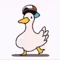 nitroHTGdanceduck