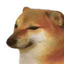 bg9