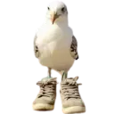 Lamouettedeomega