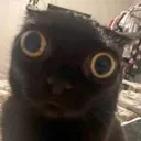 void_shocked