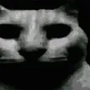 catpaindark catpaindark