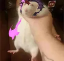 YOUKAI