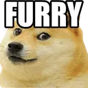 furryassHD furryassHD