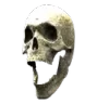 SkullWTF SkullWTF
