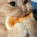 eated