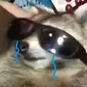 mapachewithglassescrying