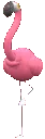 973