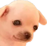 sadchiwawa sadchiwawa
