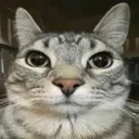 mewhen