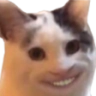 cat_smile