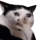 cat_sngufff