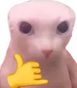 Cat_joinha Discord Emoji