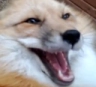 ehehe