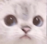 katburst