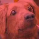 BAD
