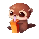 otterbigsip
