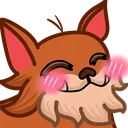 chapaaBlush