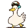 duckdance duckdance