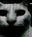 evil