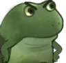 BDFr_FroggyAngryWorry