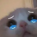 WAHWHAHWAHWAH