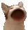 Popcat