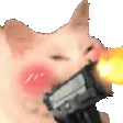 gun
