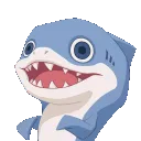 Shark4