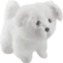 white_dog