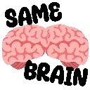 same_brain