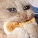 MNC_roegatoaurmarungi