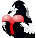 Nittle_Heart