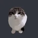 Wawacat Discord Emoji