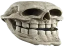 skullcrawler