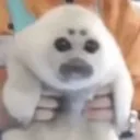 emoji_34