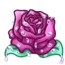 witchrosedew