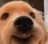 smile
