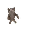 catdance
