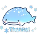 whaleshark_thanks