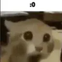 0_