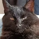 magic_stare