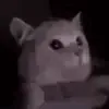 FLASHBANG