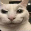 catwinner