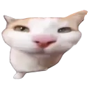 millystare