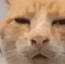 huh
