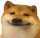 m_smug_doggo m_smug_doggo