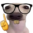 nerddog