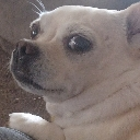 u_cannot_be_fr u_cannot_be_fr