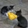 firmhandshakes firmhandshakes