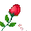 RadiantsRose